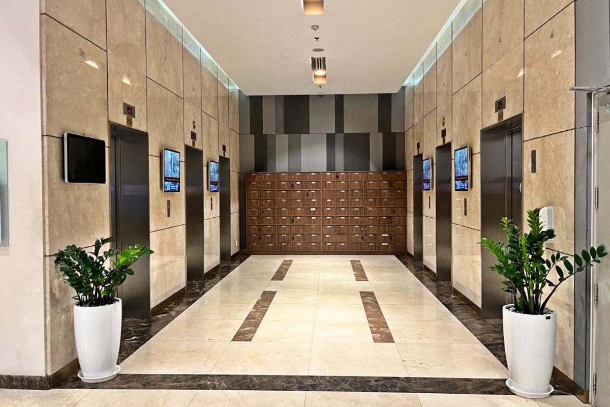 Mosquitoes go into the elevator to go to the upper floors