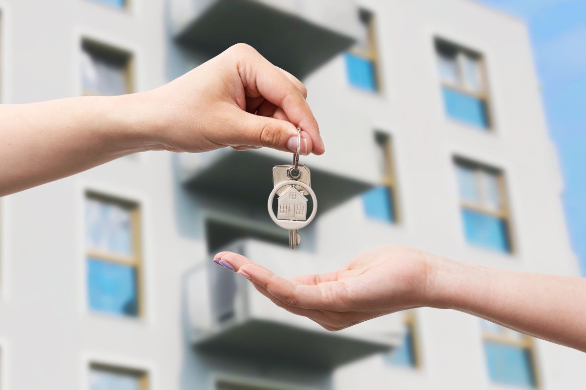 Search, reach and attract new clients for the project
